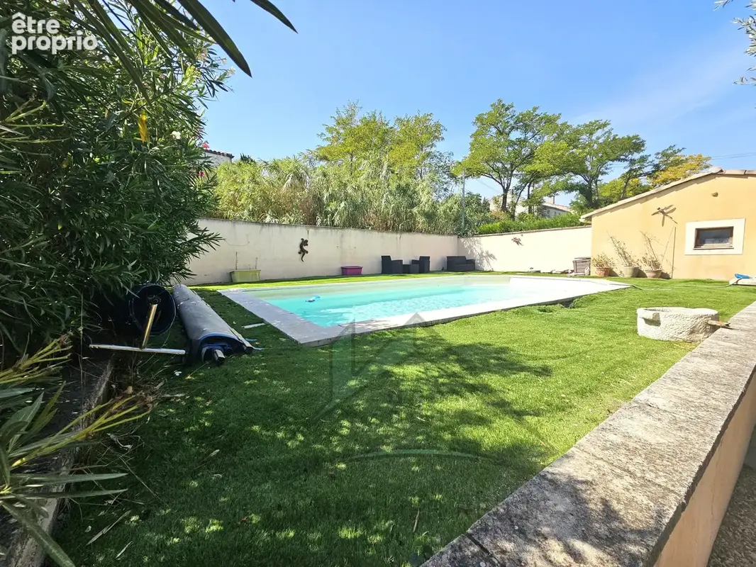Martigues   jonquières centre-ville - photo 4