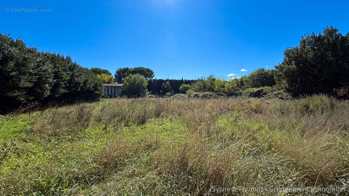 Terrain à CADEROUSSE