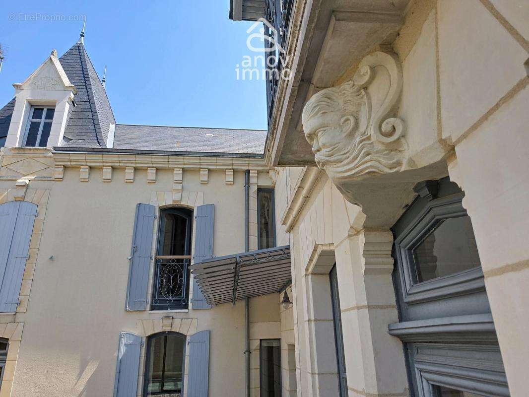 Hôtel particulier fin XIXe avec piscine hypercentre de Thoua - photo 3