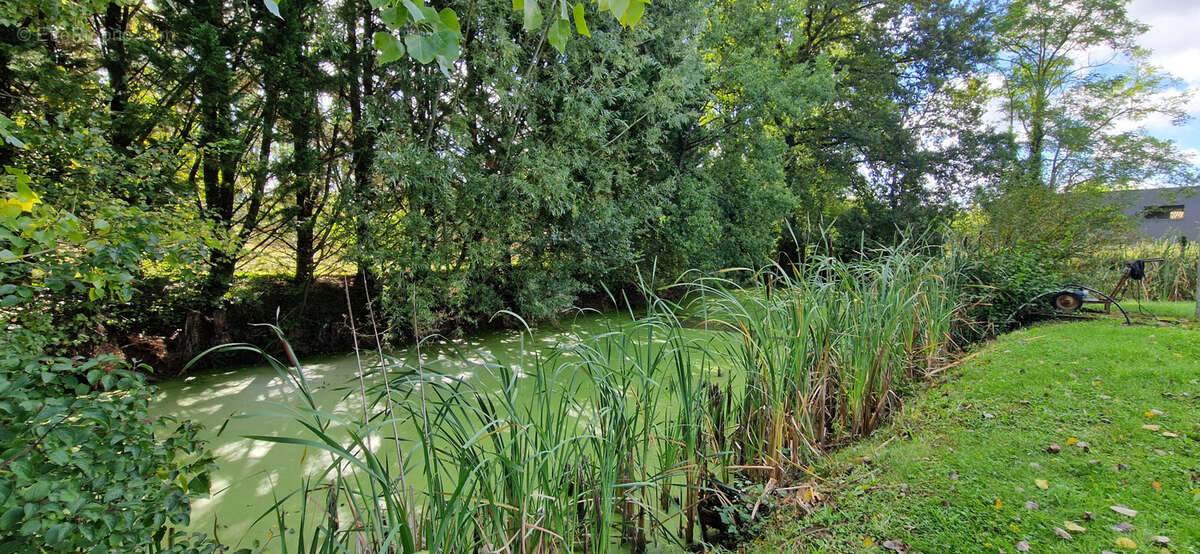 Maison à CHAVEIGNES