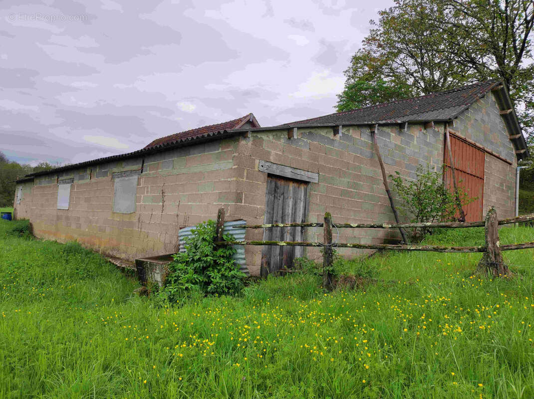 Beau terrain dominant avec hangar transformable - photo 5