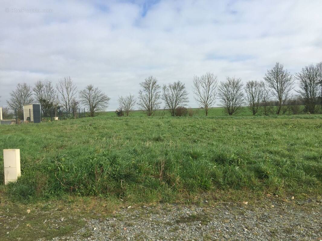 Terrain à NALLIERS