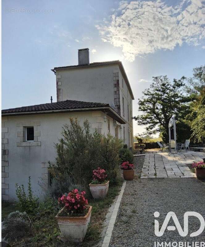 Maison 209 m² à Montagnac-Sur-Auvignon  - photo 7