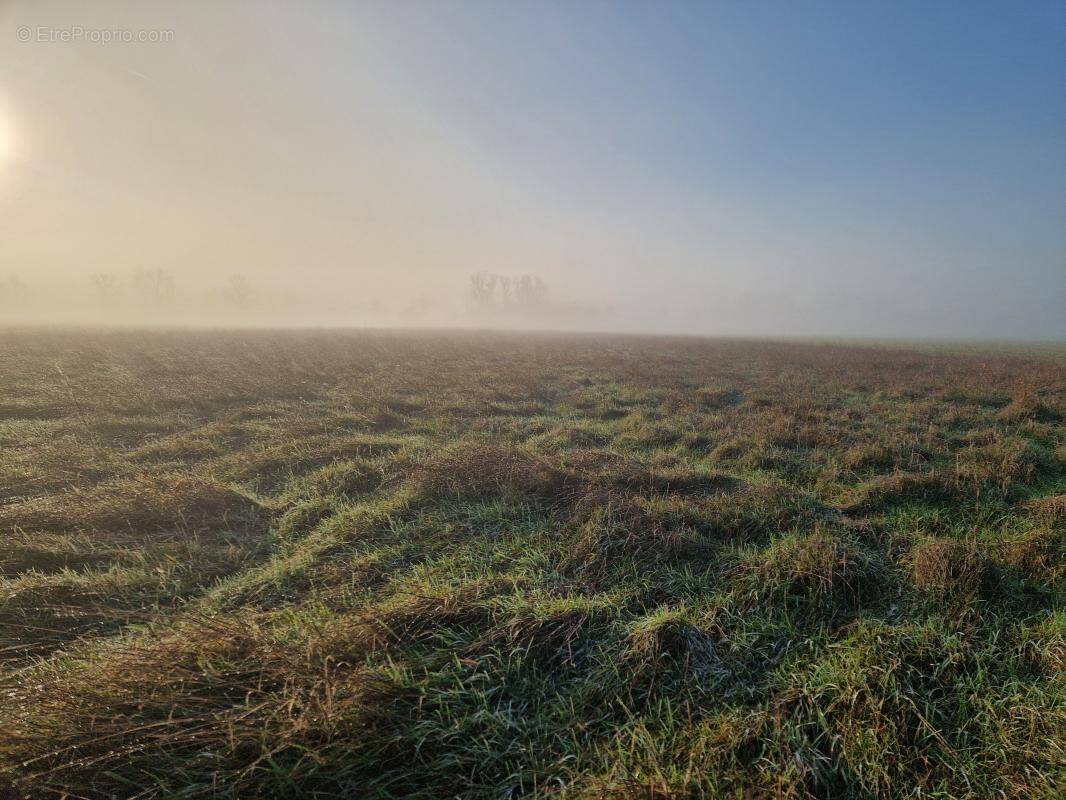Terrain à CHATILLON-SUR-CHER