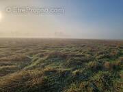 Terrain à CHATILLON-SUR-CHER
