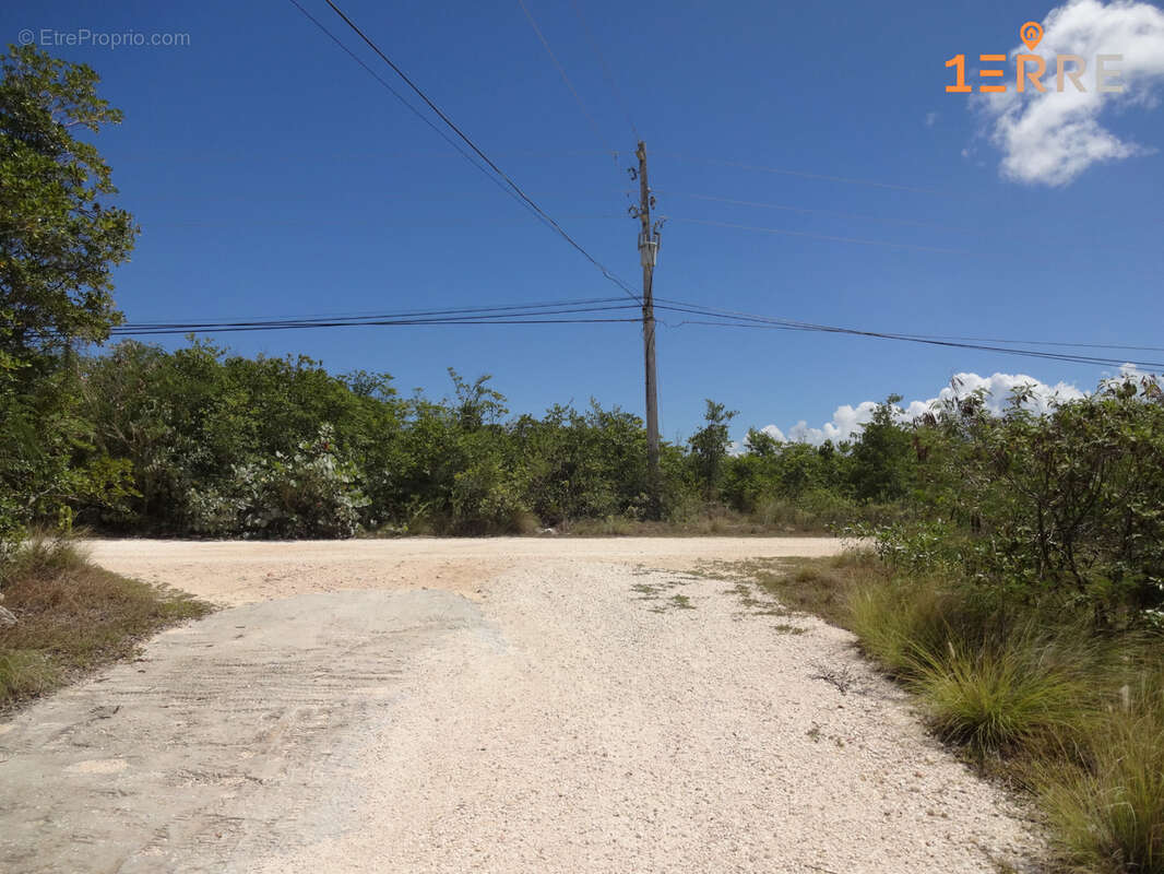 Terrain à SAINT-MARTIN