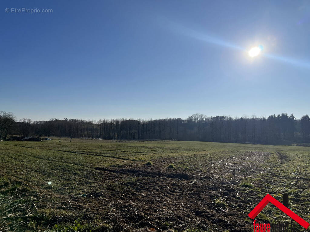 Terrain à VIGNOLS