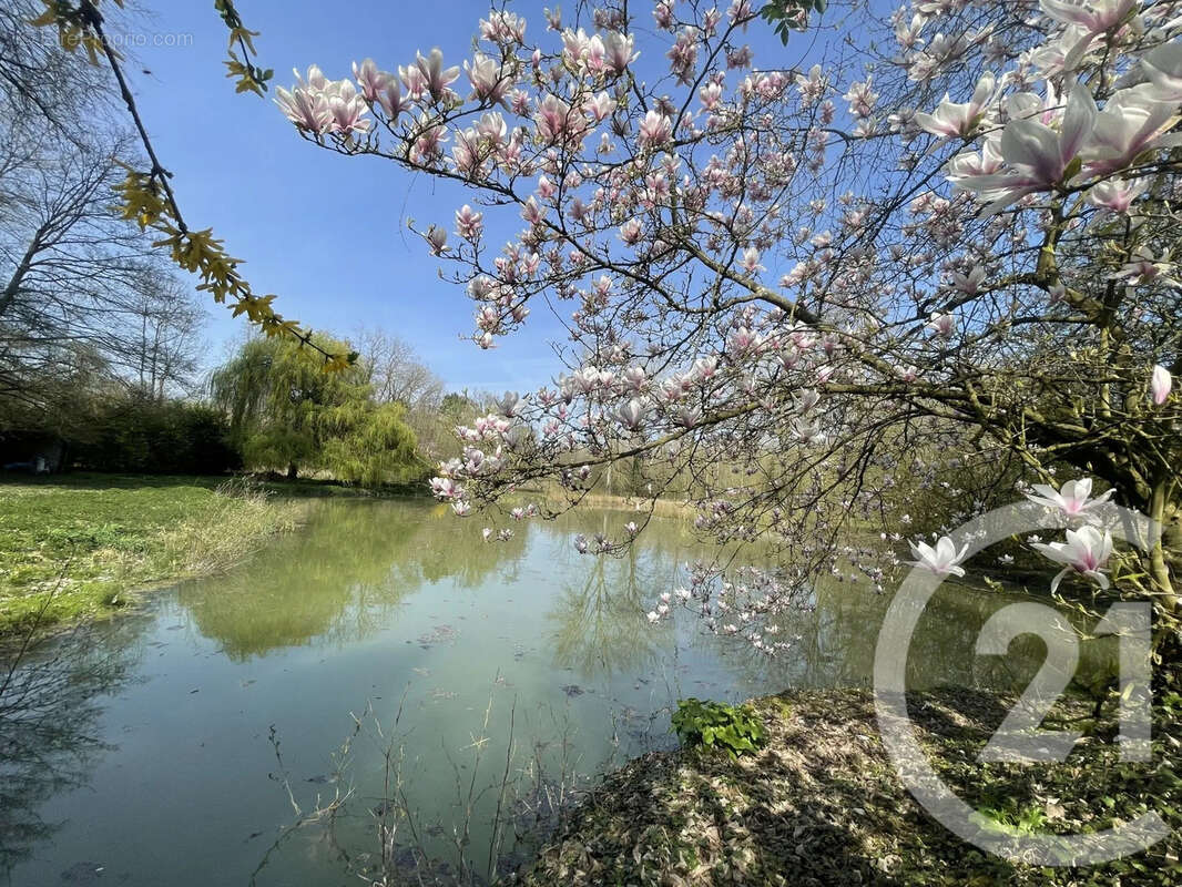 Terrain à PERONNE