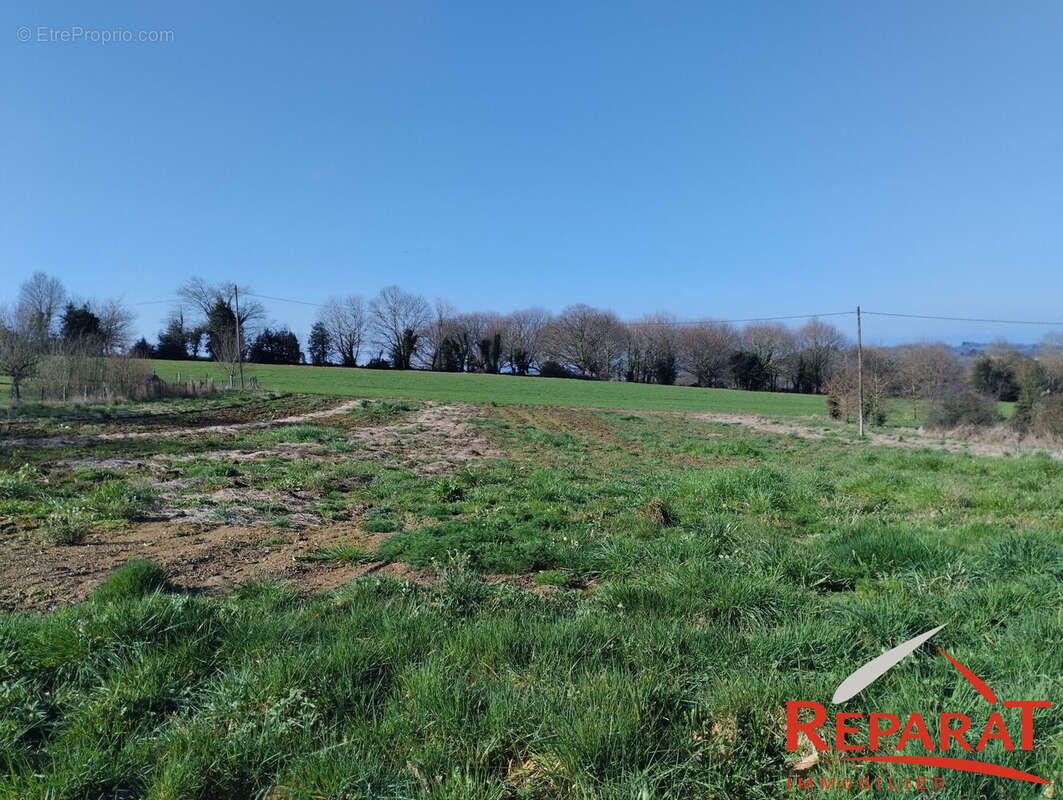 Terrain à VIGNOLS