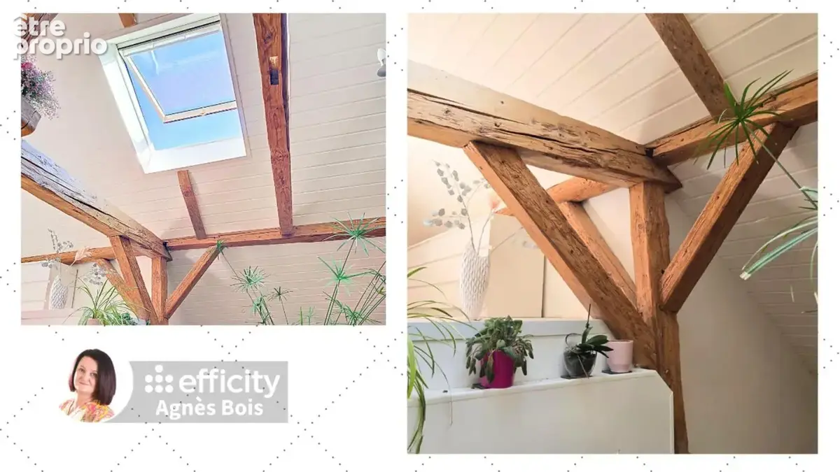 Maison 7 pièces 297 m² à vendre à Fillinges (74250) - photo 4