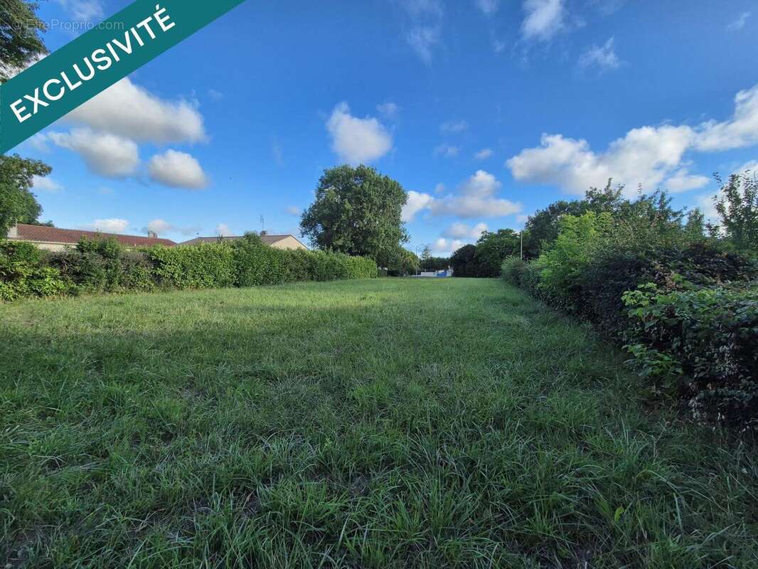 Photo 2 - Terrain à ARVERT