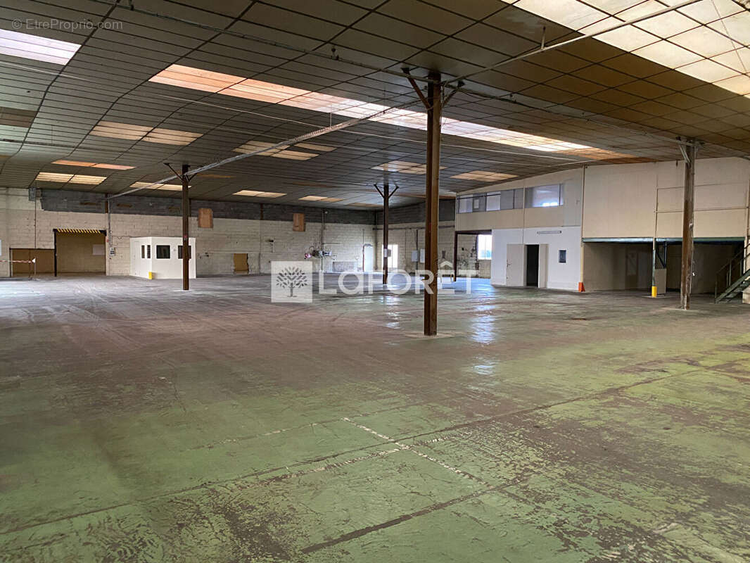 Commerce à DOUE-LA-FONTAINE