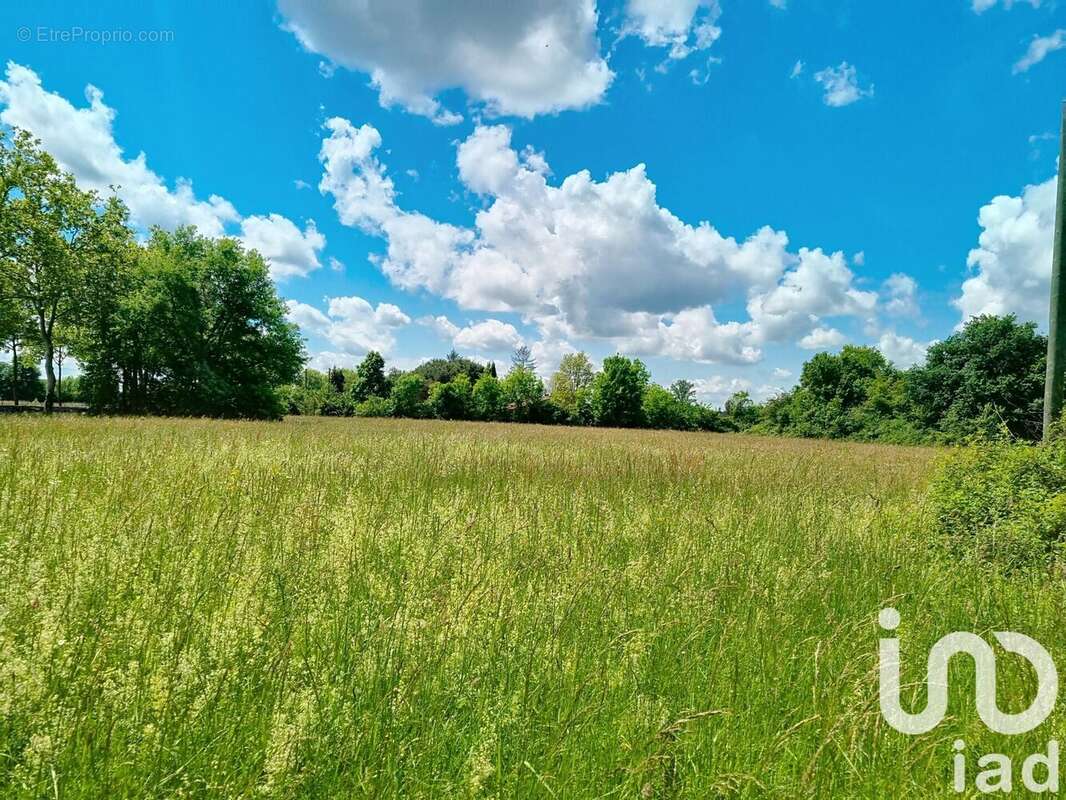 Photo 4 - Maison à L&#039;ISLE-EN-DODON