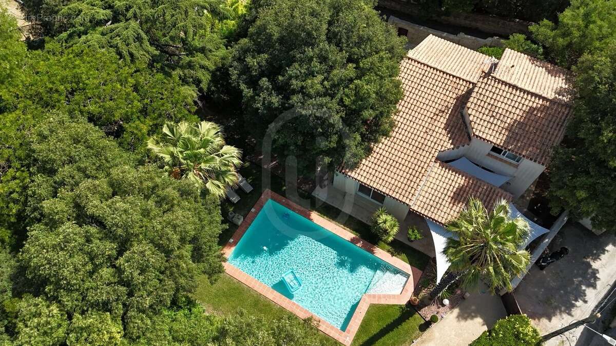 Maison à MONTPELLIER