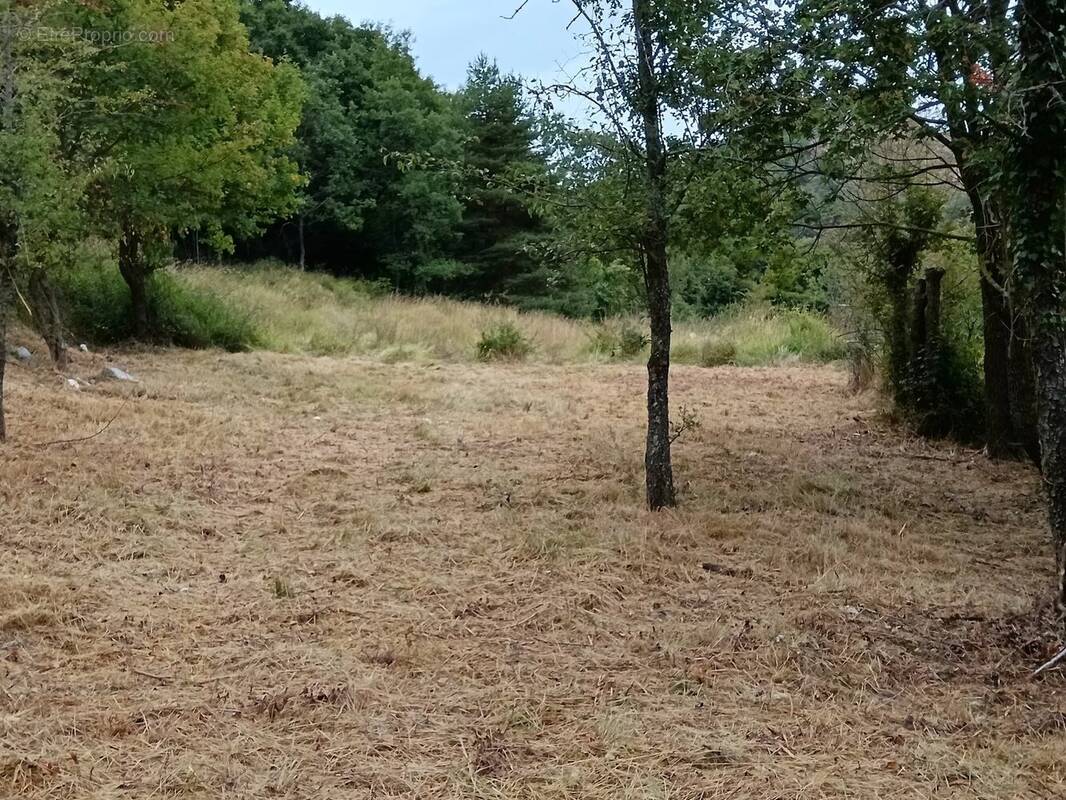 COURSEGOULES, RARE terrain constructible exposé sud - photo 5