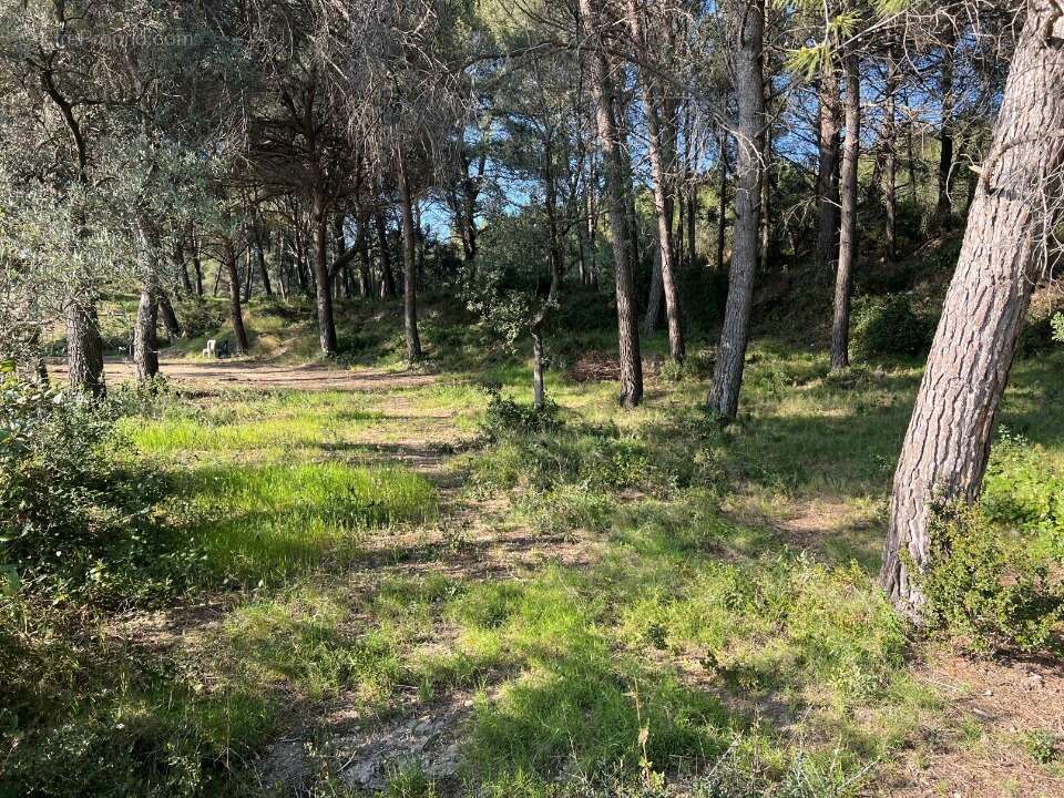 Terrain à EYGUIERES