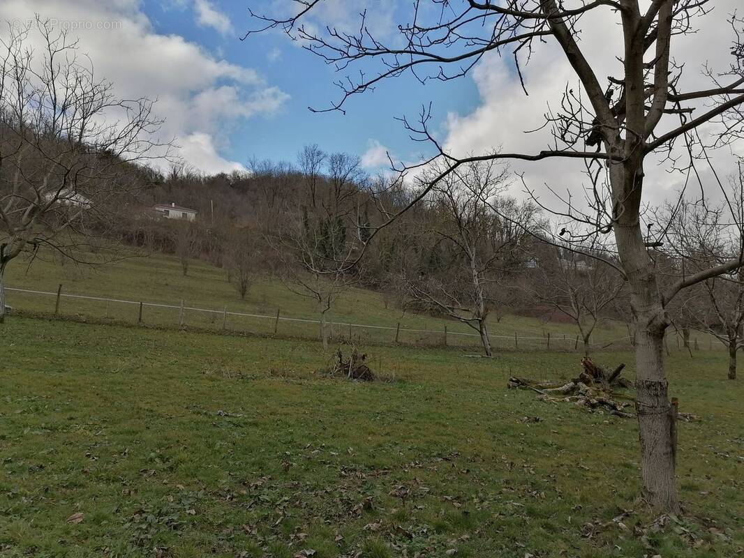 Photo 1 - Terrain à TULLINS