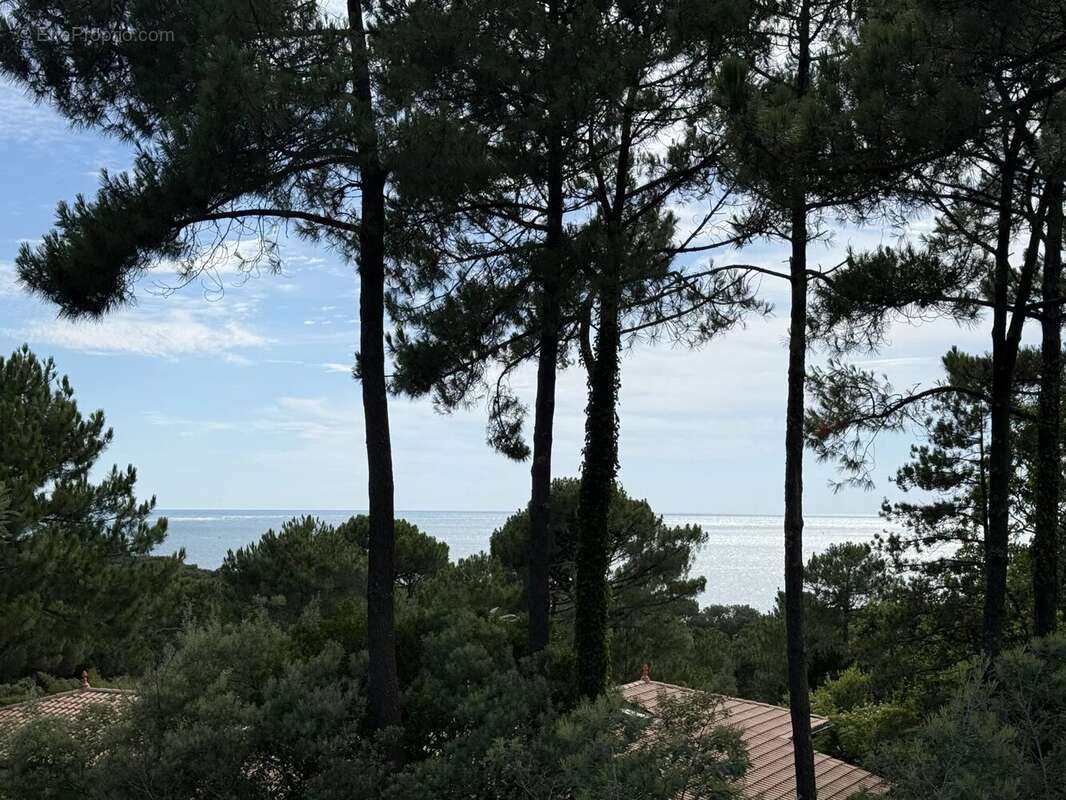 Maison à LE BOUSCAT