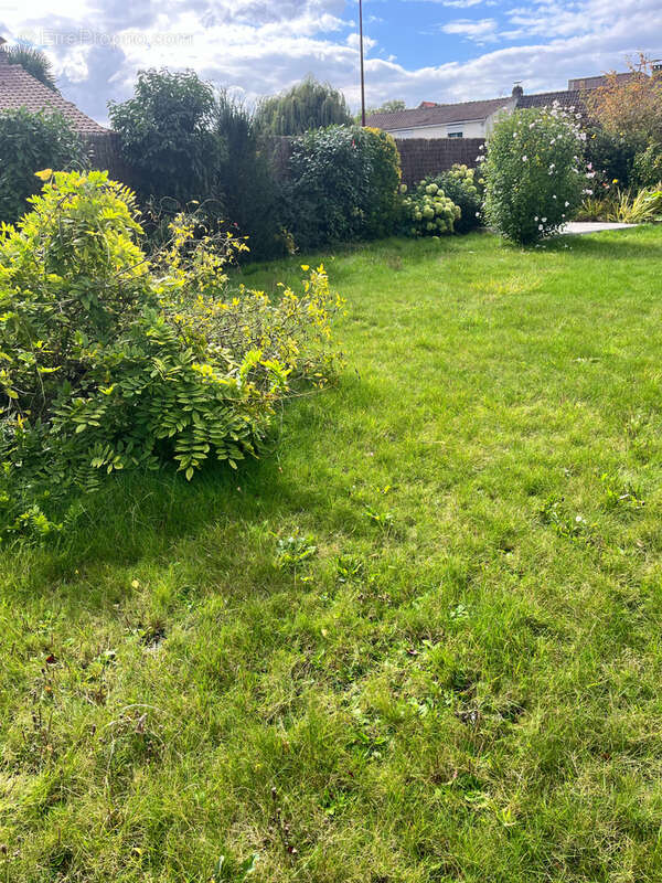 Terrain à CAMPHIN-EN-PEVELE