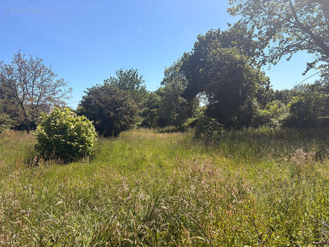 Terrain à FOUESNANT