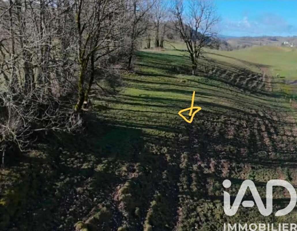 Terrain 798 m² à Foncine-Le-Haut  - photo 2