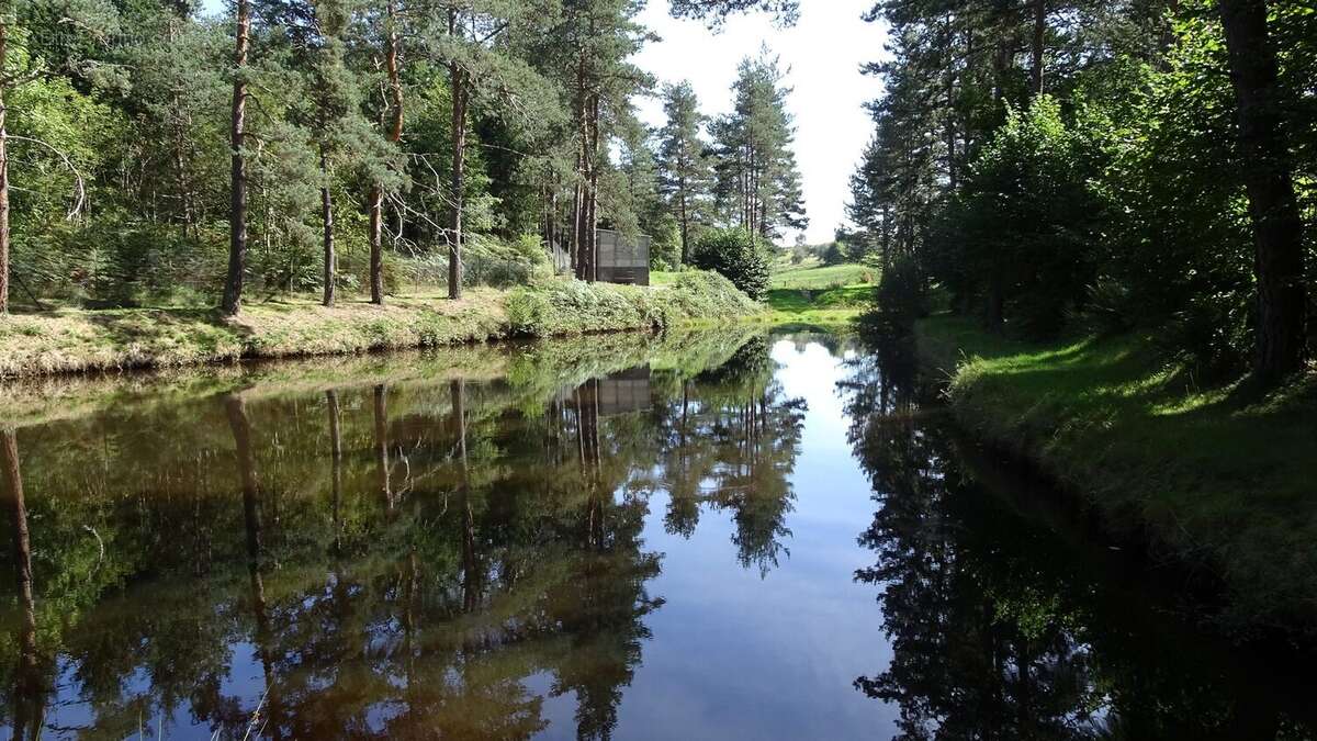 Terrain à SAINT-PAL-DE-MONS