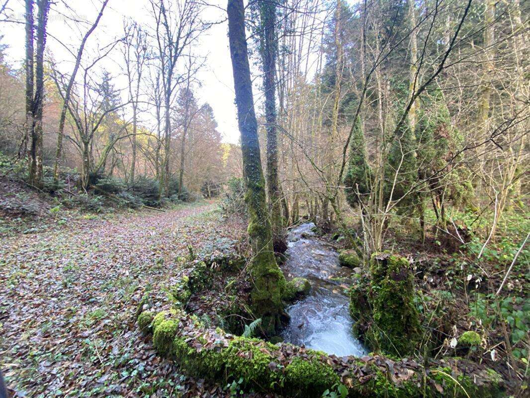Terrain à WILLER-SUR-THUR