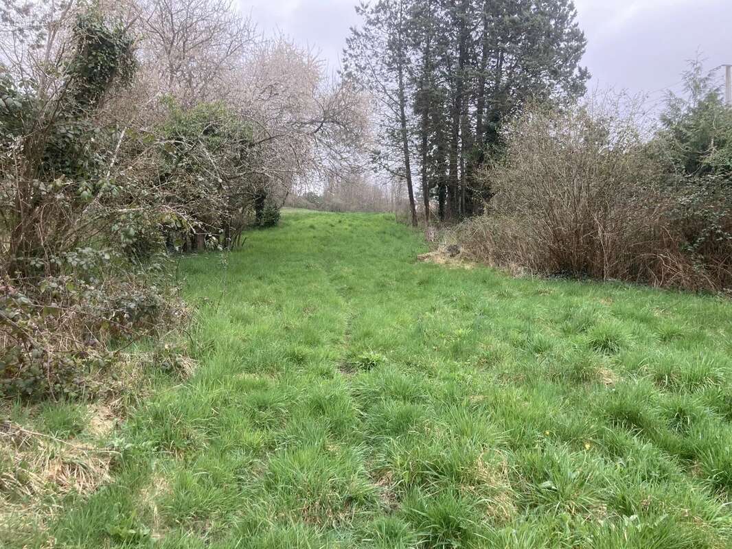 Terrain à RAIZEUX
