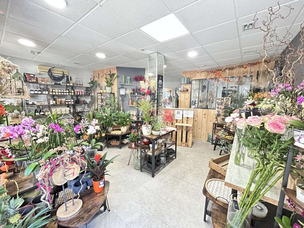 IMG_3349 - Commerce à JOIGNY