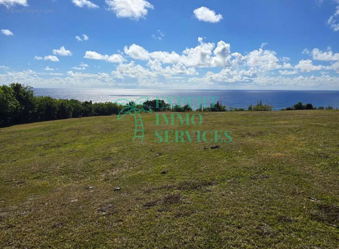 Maison à CAPESTERRE-DE-MARIE-GALANTE