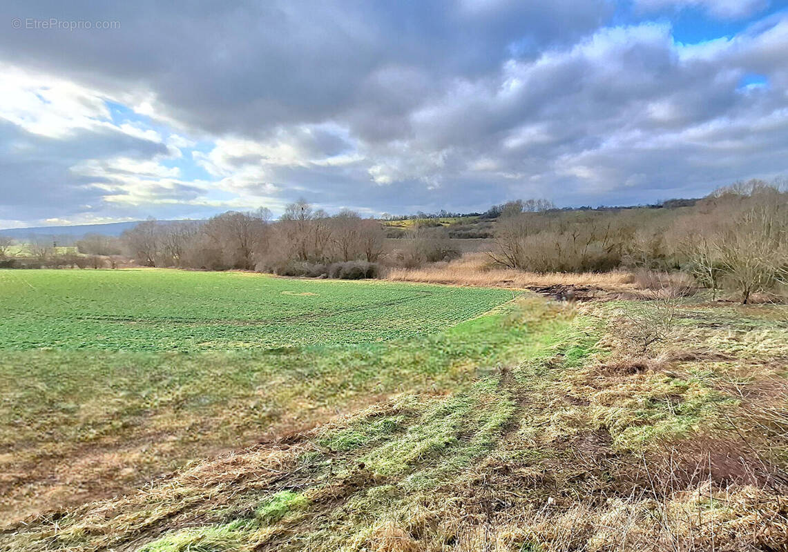 Terrain à FERRIERES