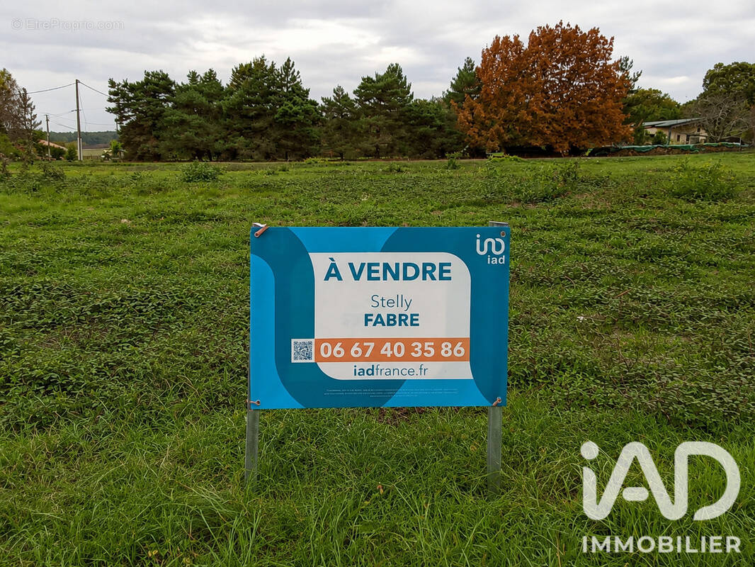 Photo 1 - Terrain à SAINT-REMY