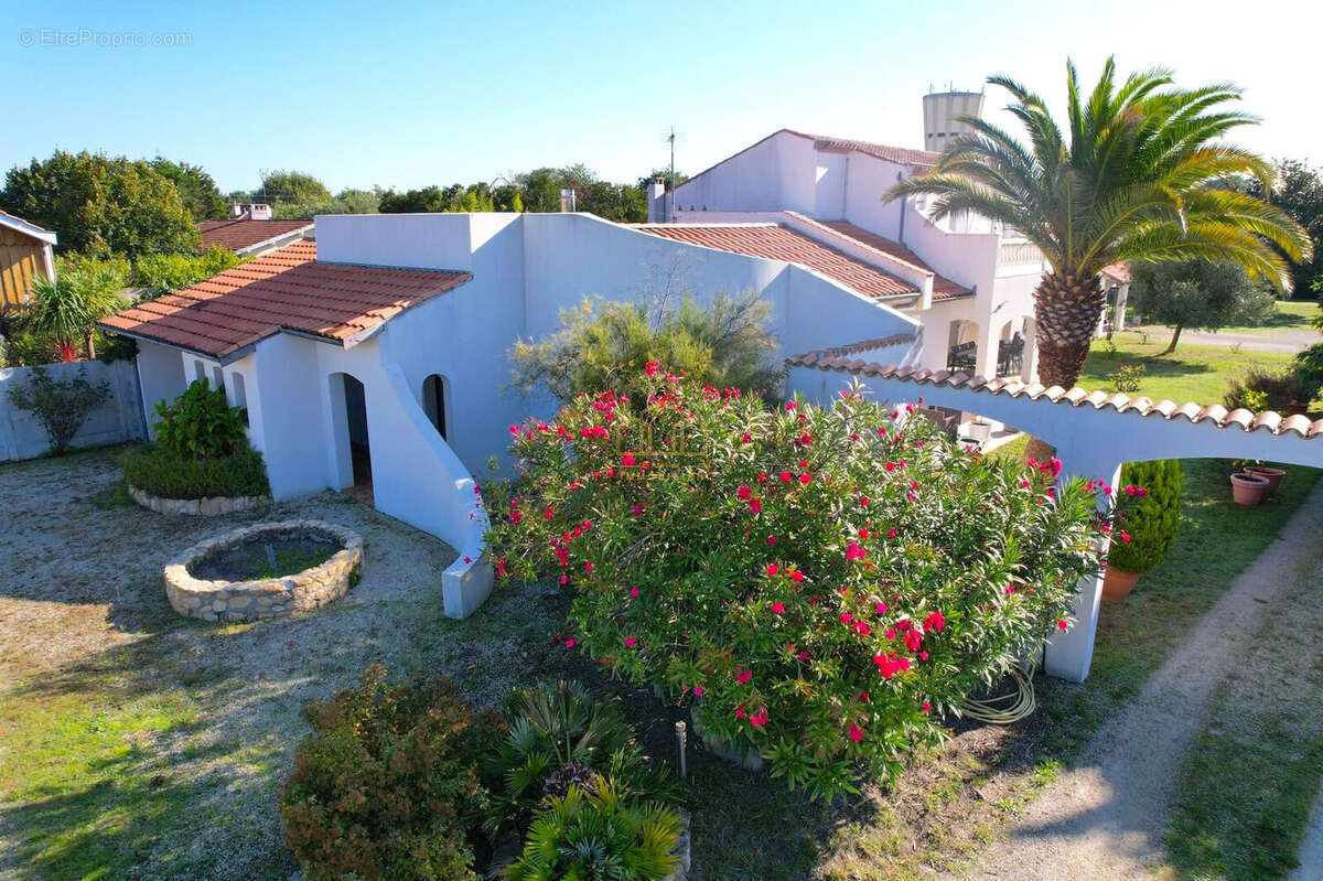 Maison à vendre 208m2 sur grand terrain au calme à Gujan-Mestras - photo 3