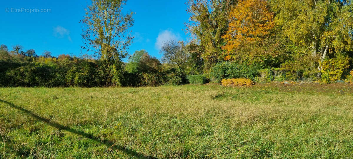 Terrain à FORGES-LES-EAUX