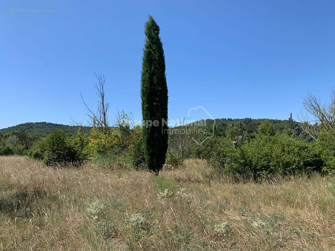 Terrain à PERNES-LES-FONTAINES