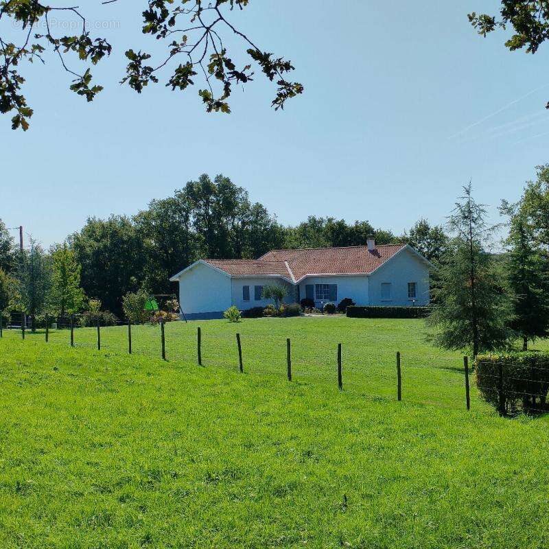 Maison à MORTAGNE-SUR-SEVRE