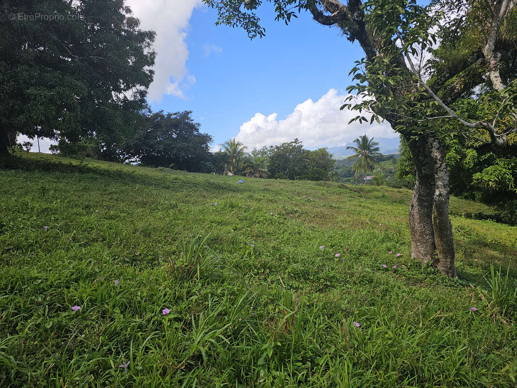 Terrain à LE ROBERT