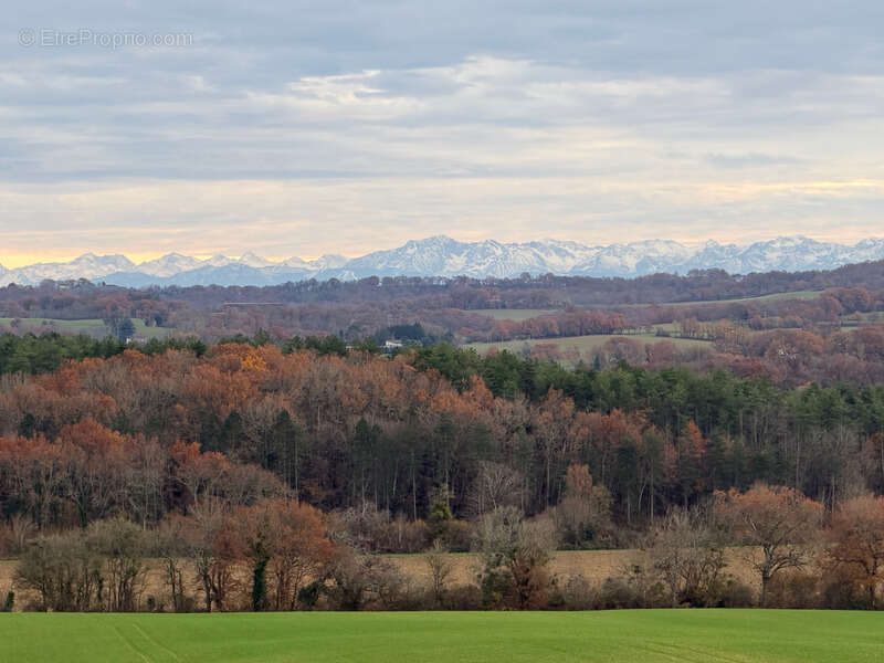 Dpt Gers (32), à vendre proche de LUPIAC- Ensemble de 3 maisons -  P6 de 187 m² - Terrain de 29366  m2 - photo 16