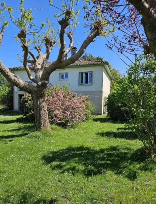 Eauze maison  - Maison à EAUZE