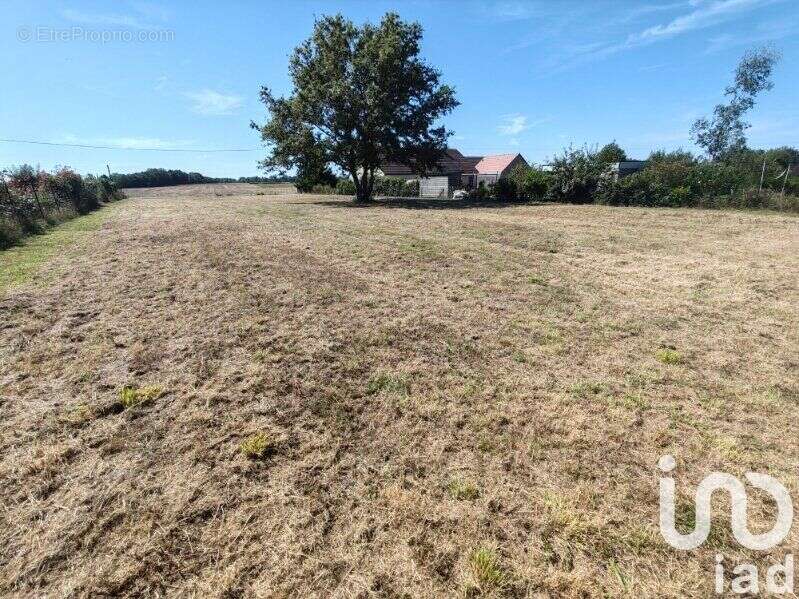 Photo 2 - Terrain à NEUILLY-LE-REAL