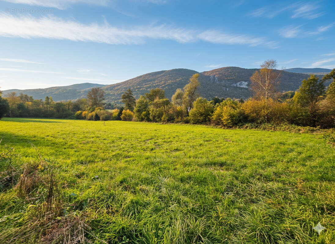 Terrain à SAINT-THIBAUD-DE-COUZ