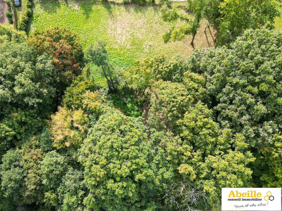 Terrain à SAINT-CHERON