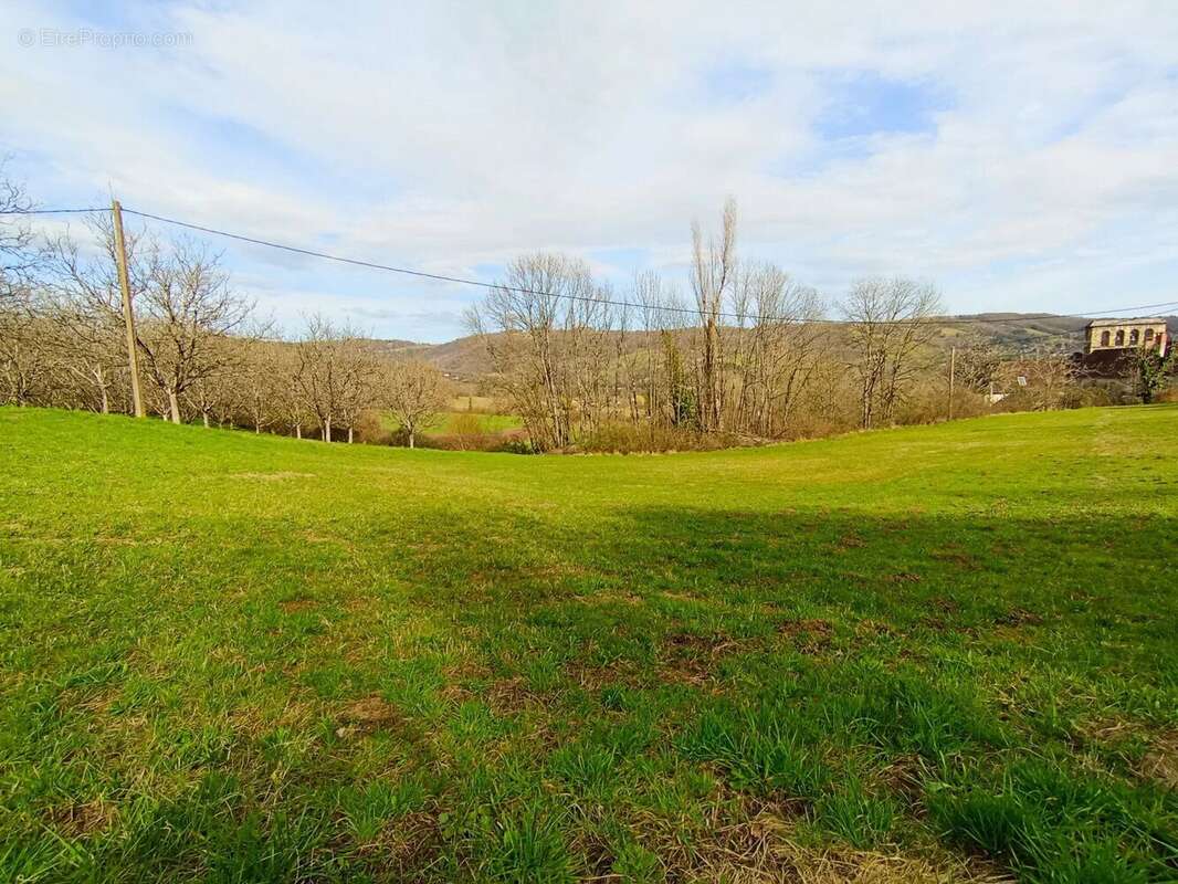 Vente Terrain Beaulieu-sur-dordogne(19120) 29 000ï¿œ - photo 4
