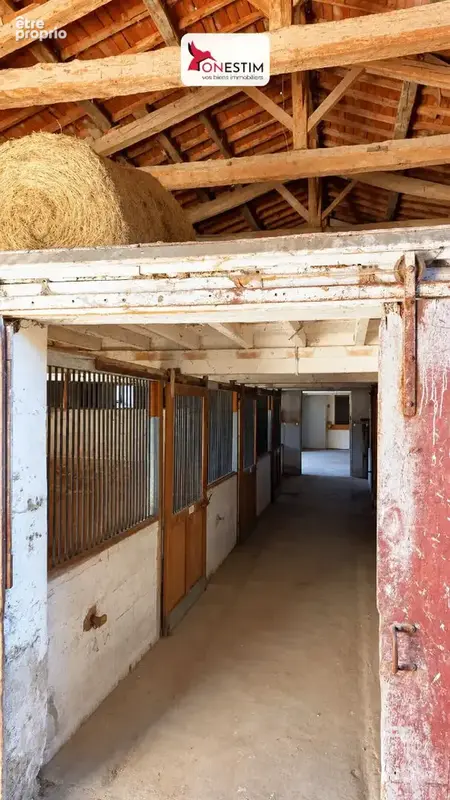Vente : maison 261m² à chalain le comtal - photo 23