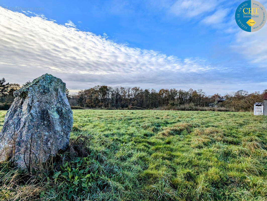 Terrain à bâtir libre de constructeur   campagne de monteneuf (56380) avec cht immobilier - photo 2