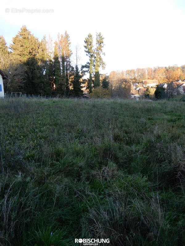 RIESPACH : Terrain hors lotissement - photo 2