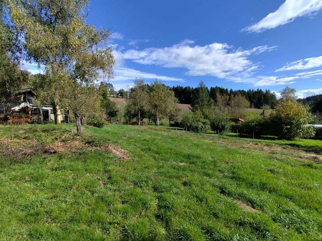 Terrain à LA SEAUVE-SUR-SEMENE