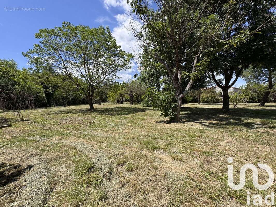 Photo 3 - Maison à BANNE