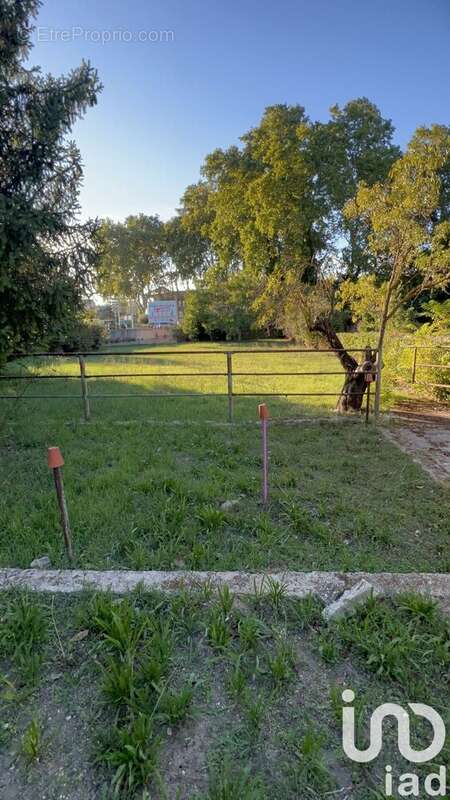 Photo 5 - Maison à MARSEILLE-11E