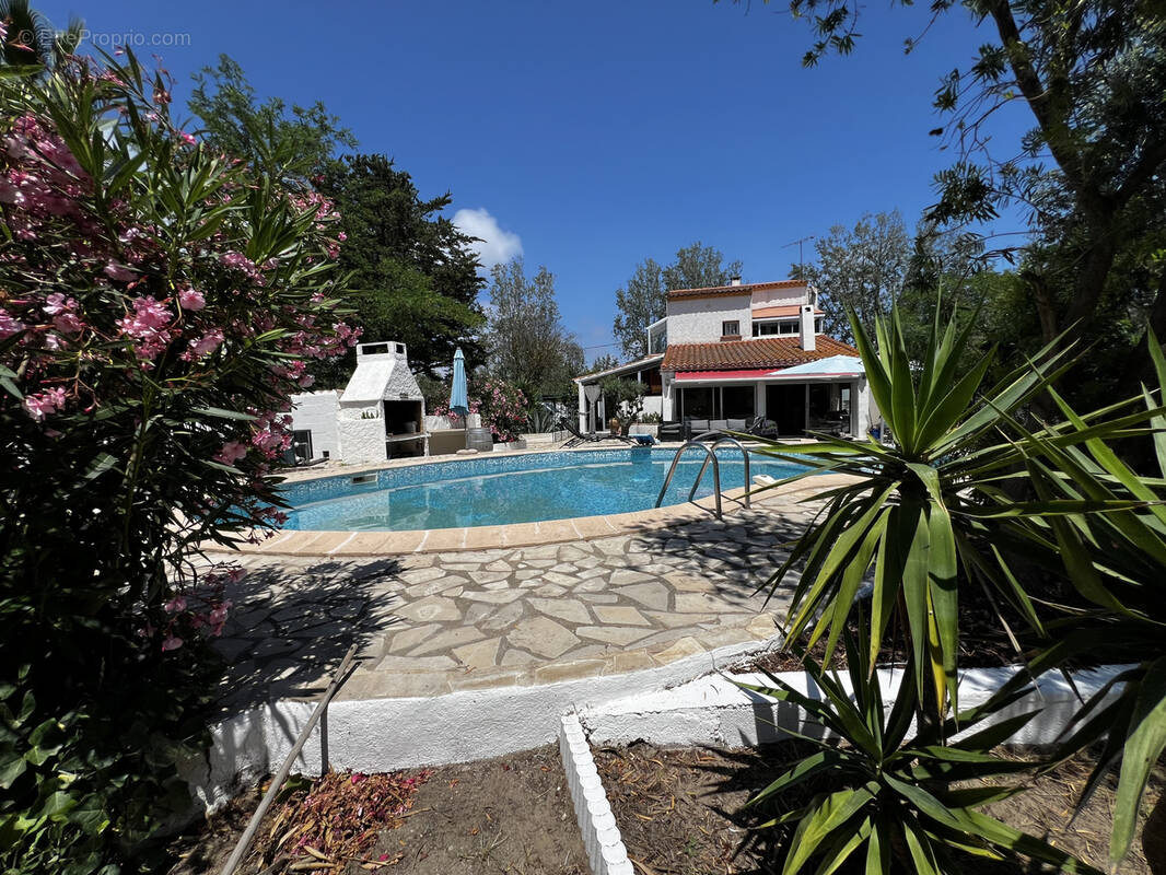 Maison à MARSEILLAN